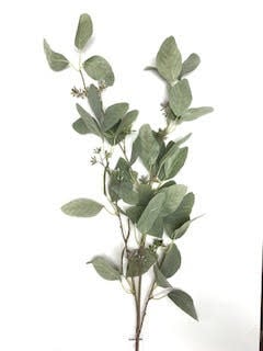 45-inch eucalyptus seeded spray with natural green foliage arranged in a full silhouette.