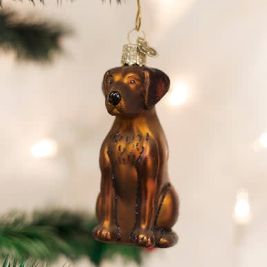 Chocolate Labrador dog ornament with glossy finish in realistic breed silhouette.