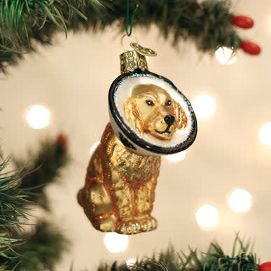 Cone Of Shame dog ornament in white plastic with black cone shape.