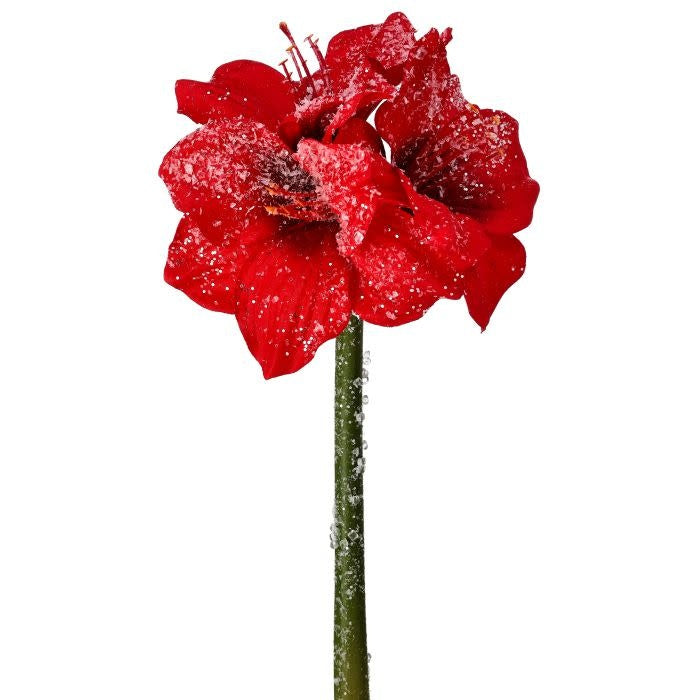 Frosted mini amaryllis stem with lifelike detail in soft white finish