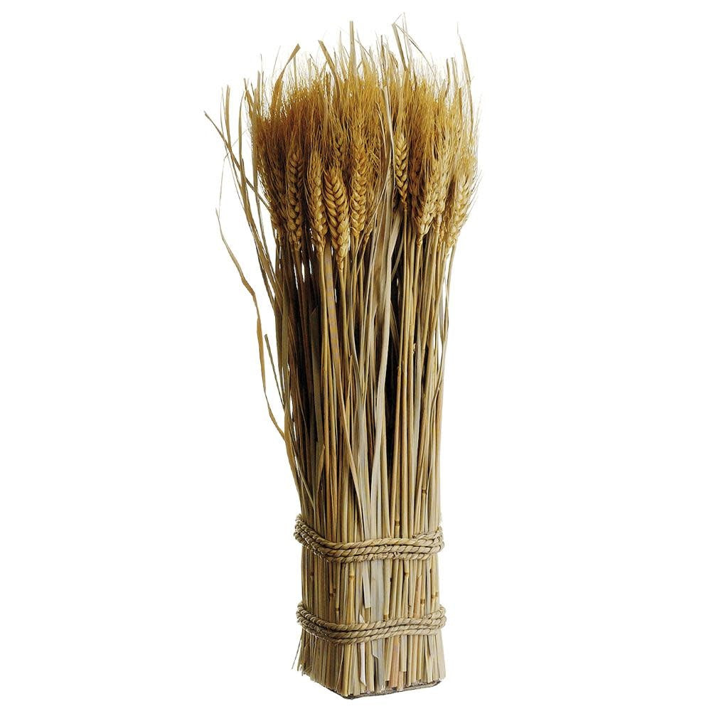 A bundle of natural wheat grass twigs with a golden-brown color.