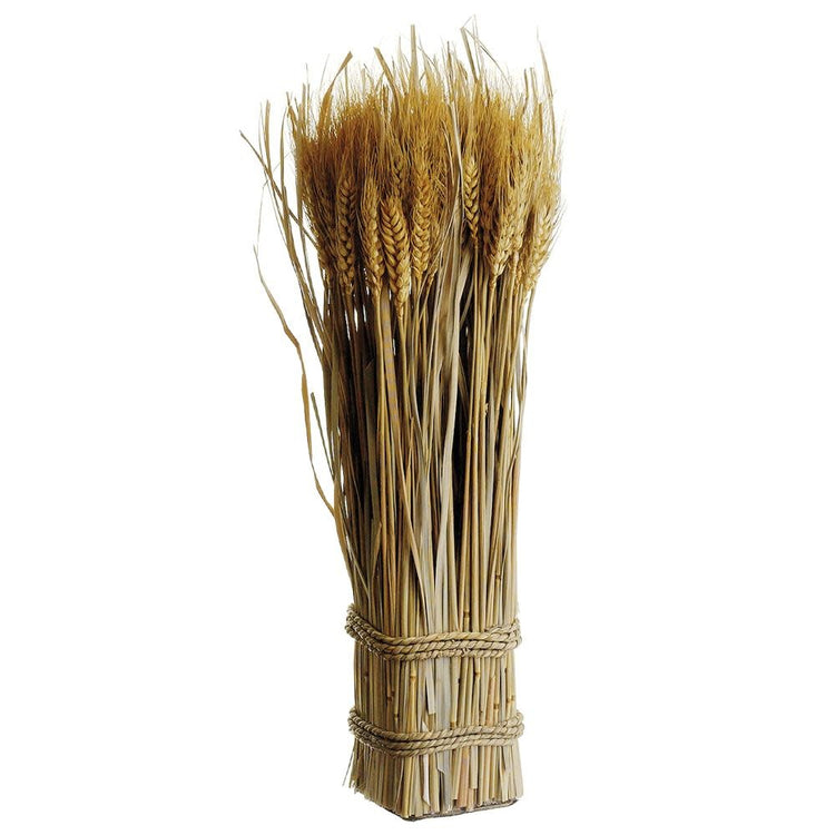 A bundle of natural wheat grass twigs with a golden-brown color.