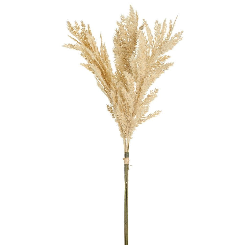 A 26-inch beige flocked pampas grass bundle with three stems tied together.