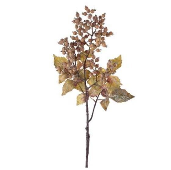 27" Rosehip Spray Brown