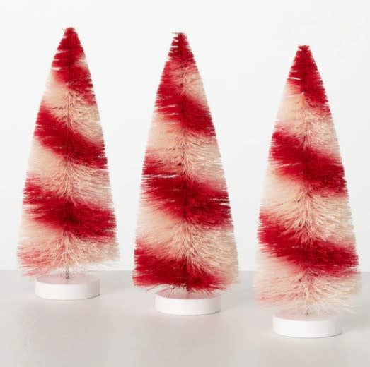 Three red and white candy stripe bottlebrush trees in a gift box.