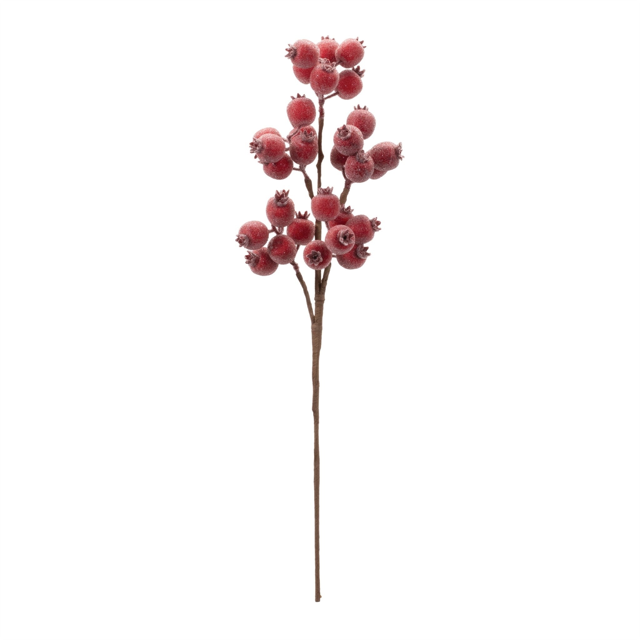 Twenty-one inch tall black styrofoam berry spray with a dense cluster silhouette.