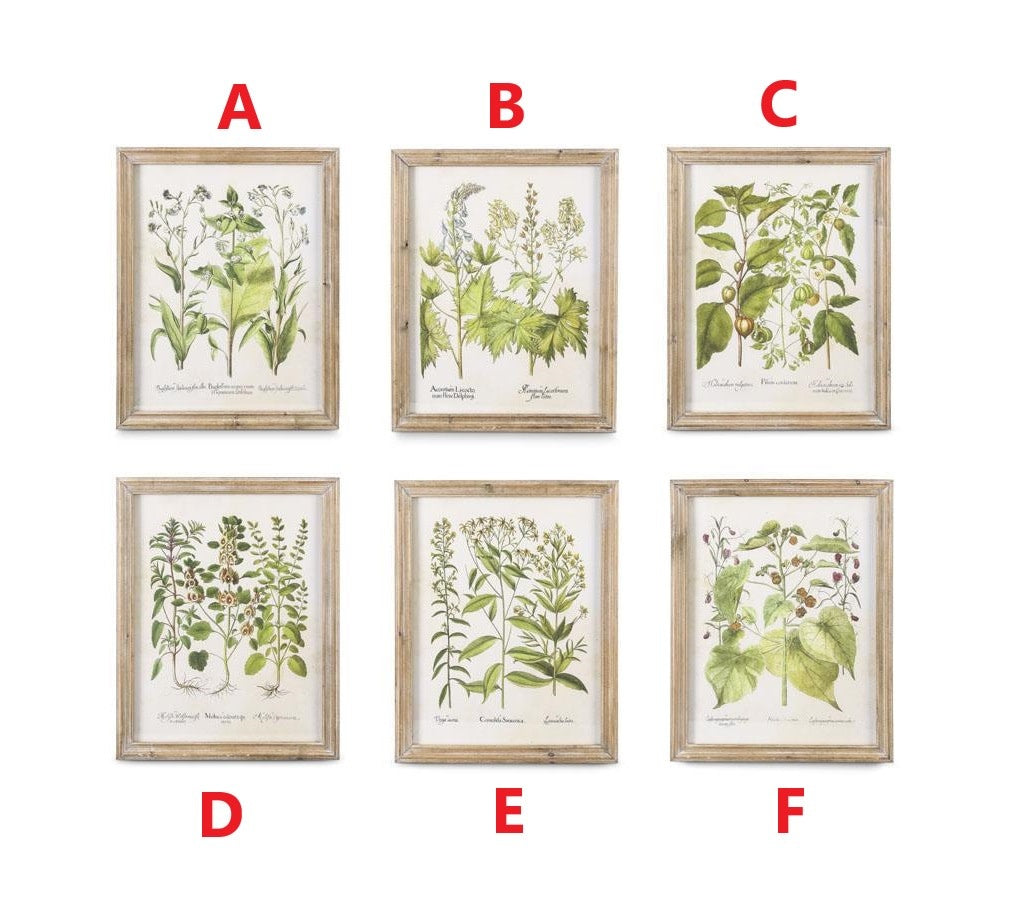 Wood-framed botanical print featuring vibrant green plant illustrations on a white background.