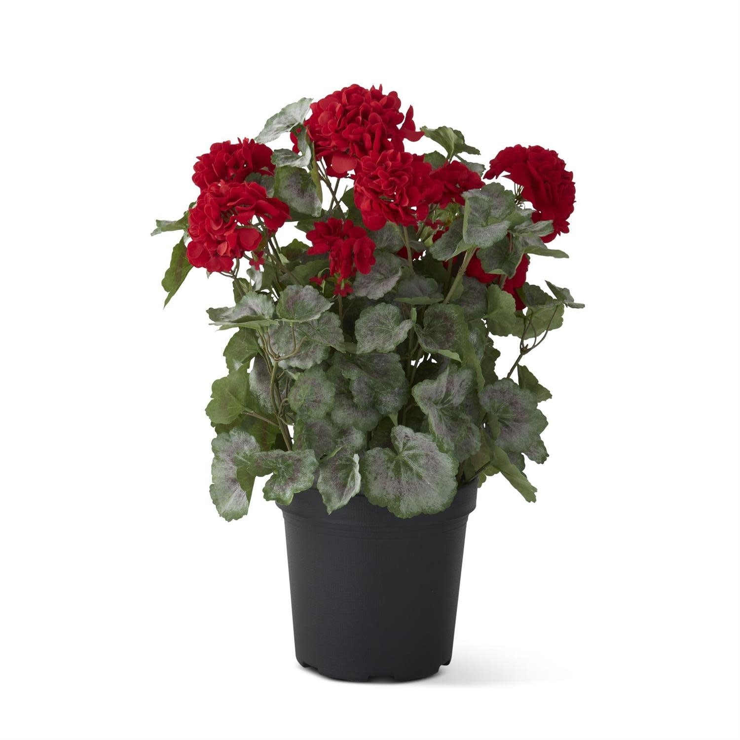 Red polyester geranium in a black iron wire pot with faux dirt