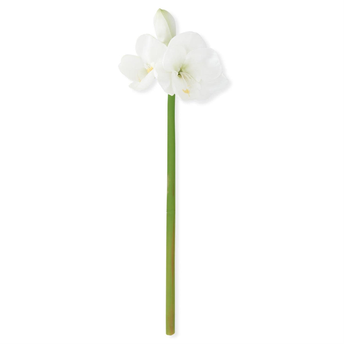 28-inch real touch white amaryllis stem with lifelike petals on a green stalk.