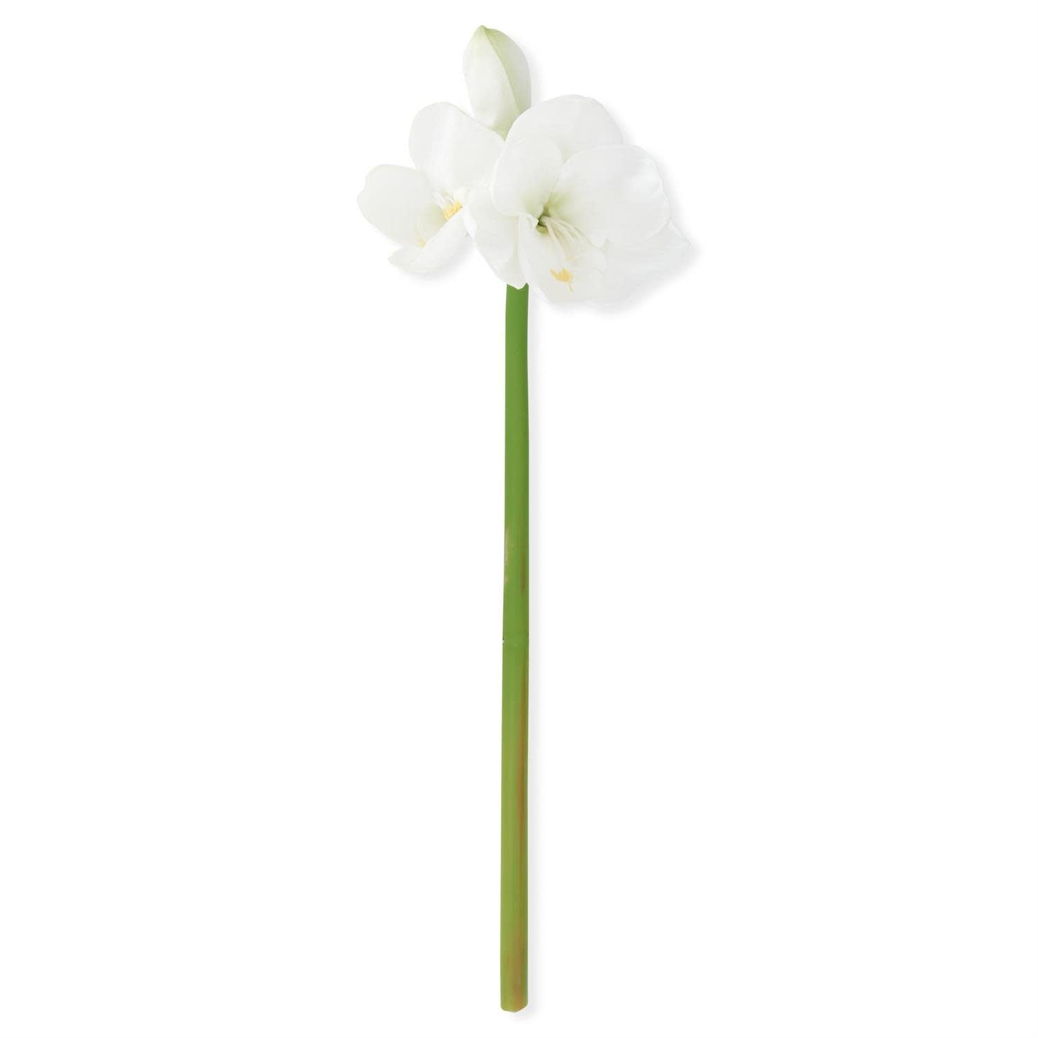 28-inch real touch white amaryllis stem with lifelike petals on a green stalk.