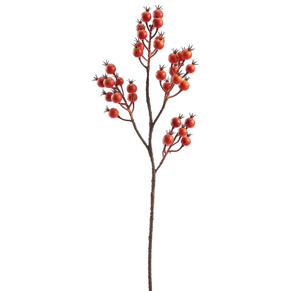 29" Rosehip Spray Orange