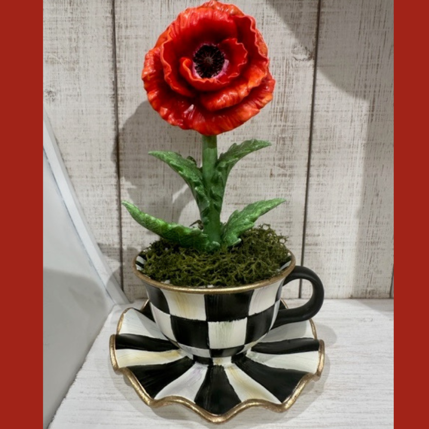 A red poppy flower in a black and white checkered teacup and saucer with mossy soil.