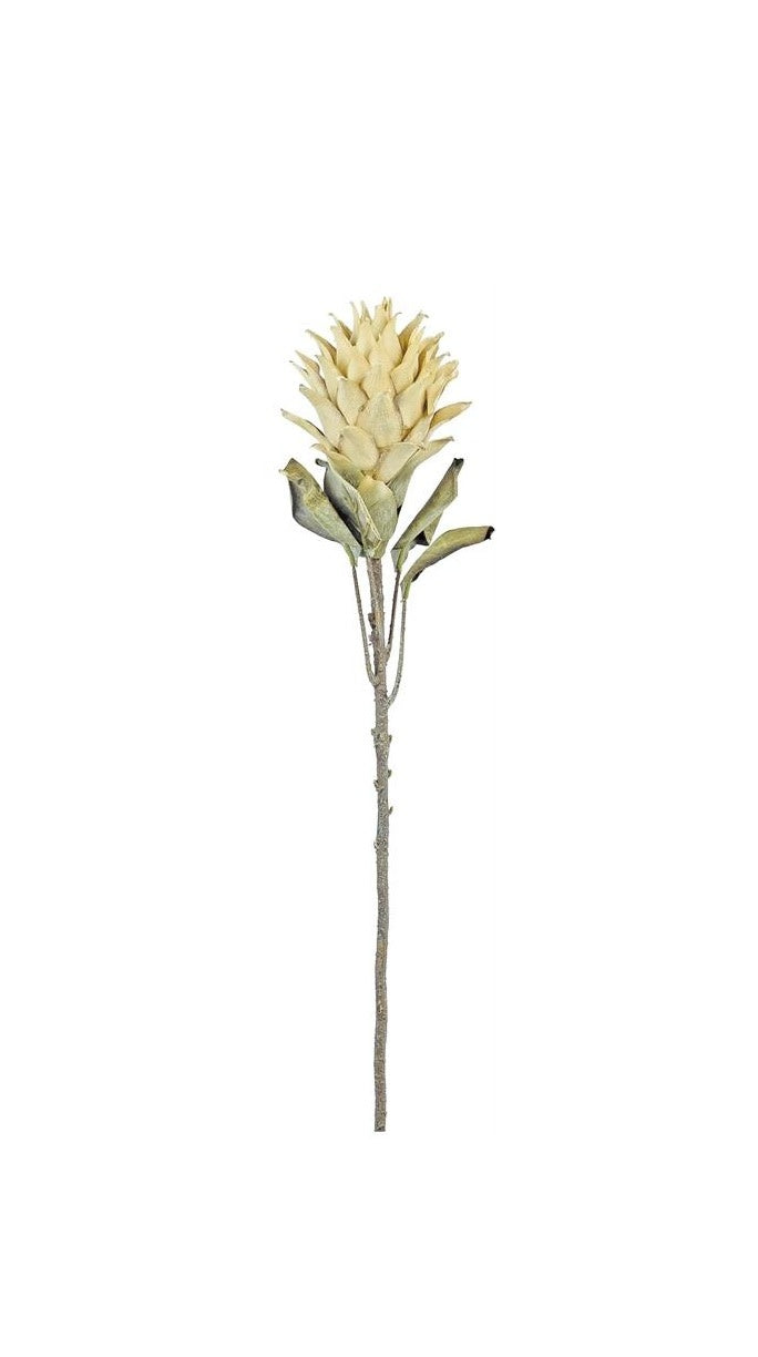 30-inch parchment-colored artificial protea flower spray with a textured bloom and green leaves.