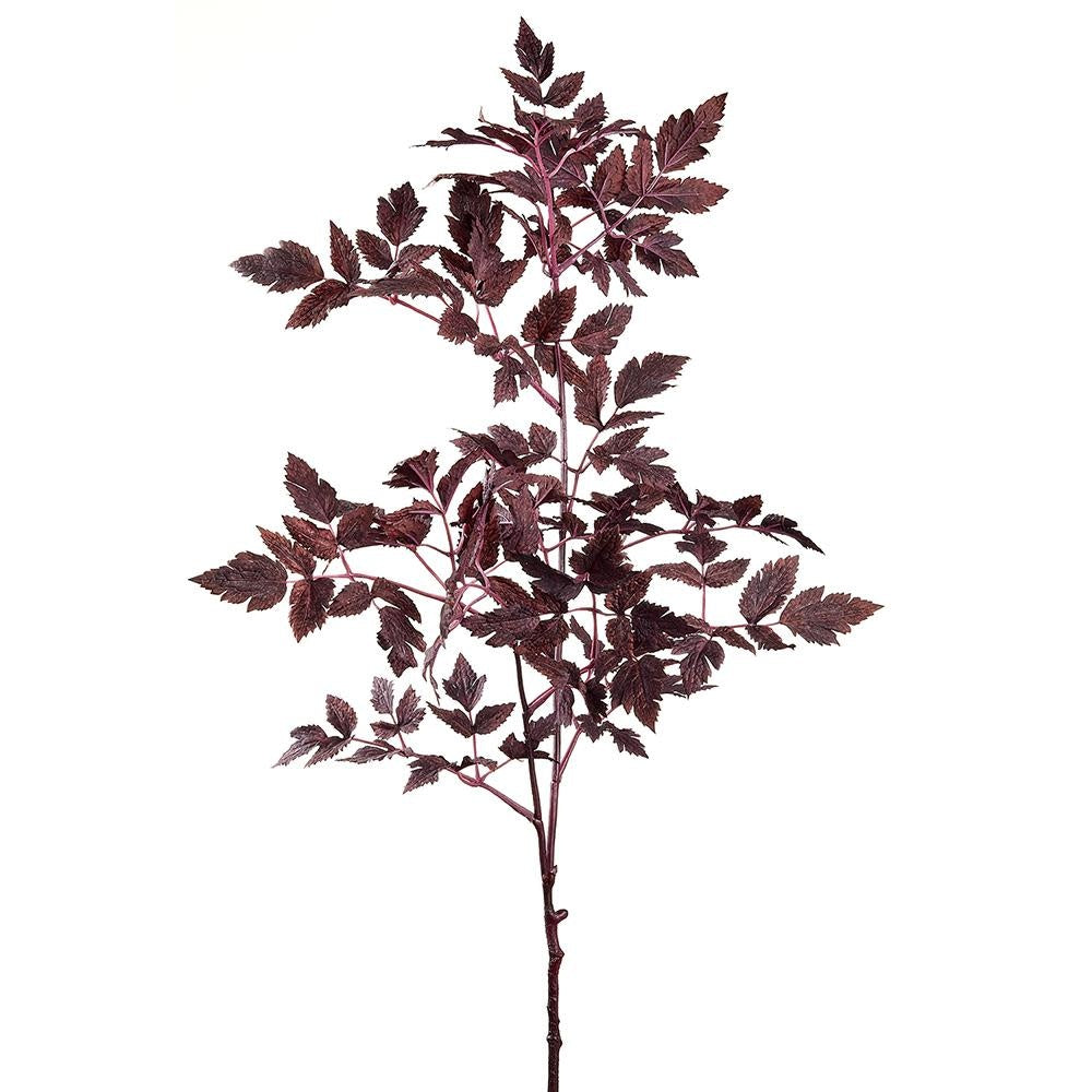 A 31-inch plum-colored Cimicifuga Ramosa leaf spray with serrated foliage on a wired stem.