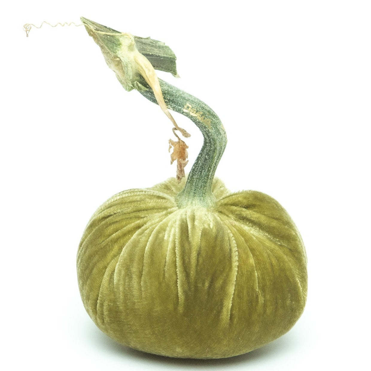 Handmade celery-colored velvet pumpkin with a natural stem.