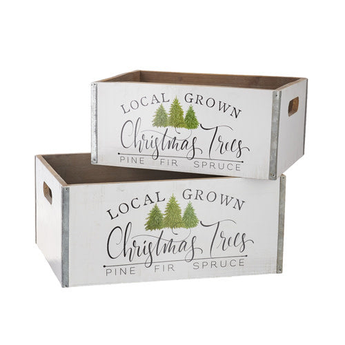 Wooden crate with handle holding a local Christmas tree