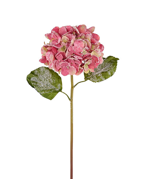 21-inch pink hydrangea stem with two green leaves, featuring a light dusting of artificial snow.