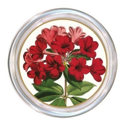 Glass coaster with a high rim to prevent spills, finished on the back with black velvet.