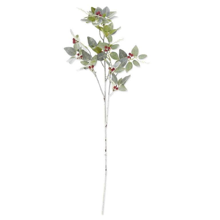 36-inch glittered and flocked Fittonia stem with small red berries on a long, thin branch.