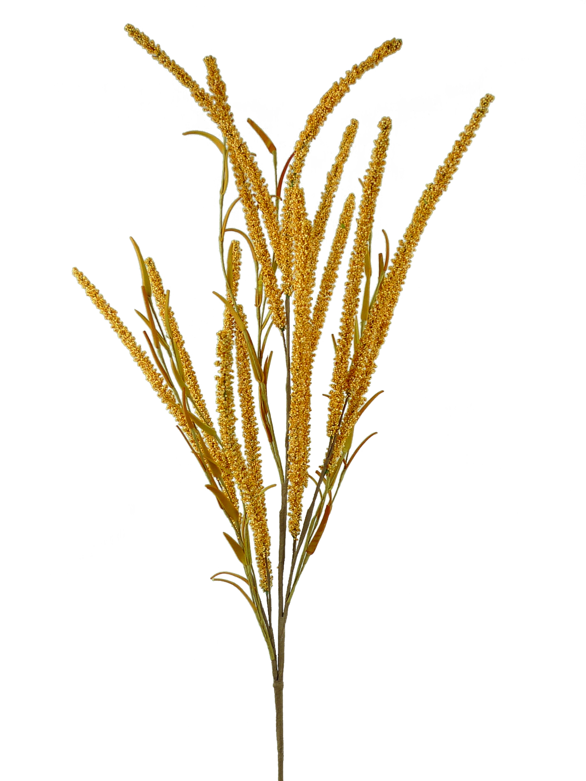 Setaria Spray decorative accent with natural green foliage on a slender stem.