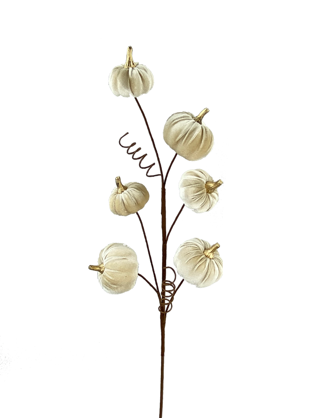 28-inch decorative spray featuring six cream-colored velvet pumpkins with gold stems on brown wire.