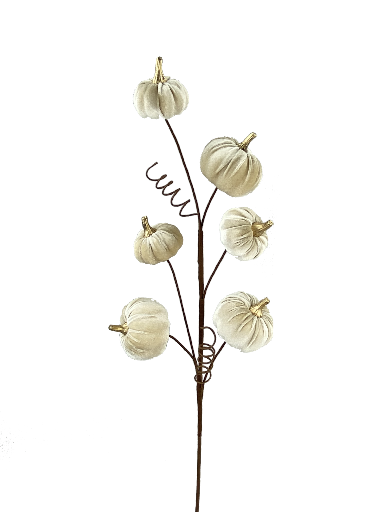 28-inch decorative spray featuring six cream-colored velvet pumpkins with gold stems on brown wire.