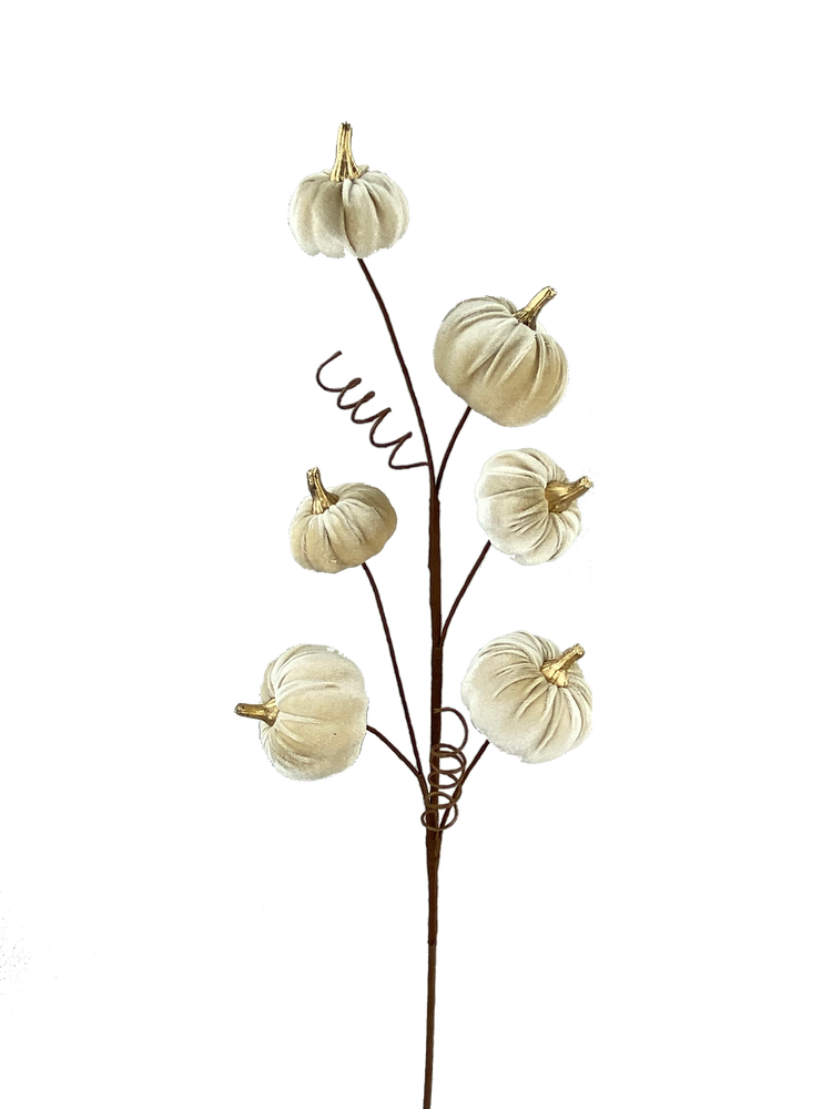 28-inch decorative spray featuring six cream-colored velvet pumpkins with gold stems on brown wire.