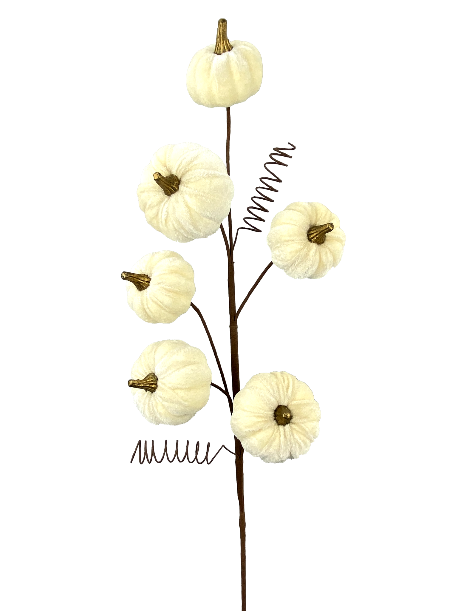 28-inch decorative spray featuring six cream-colored velvet pumpkins and brown wire coils.