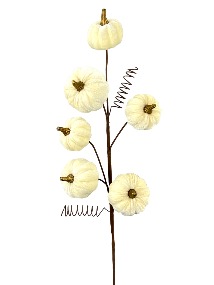 28-inch decorative spray featuring six cream-colored velvet pumpkins and brown wire coils.