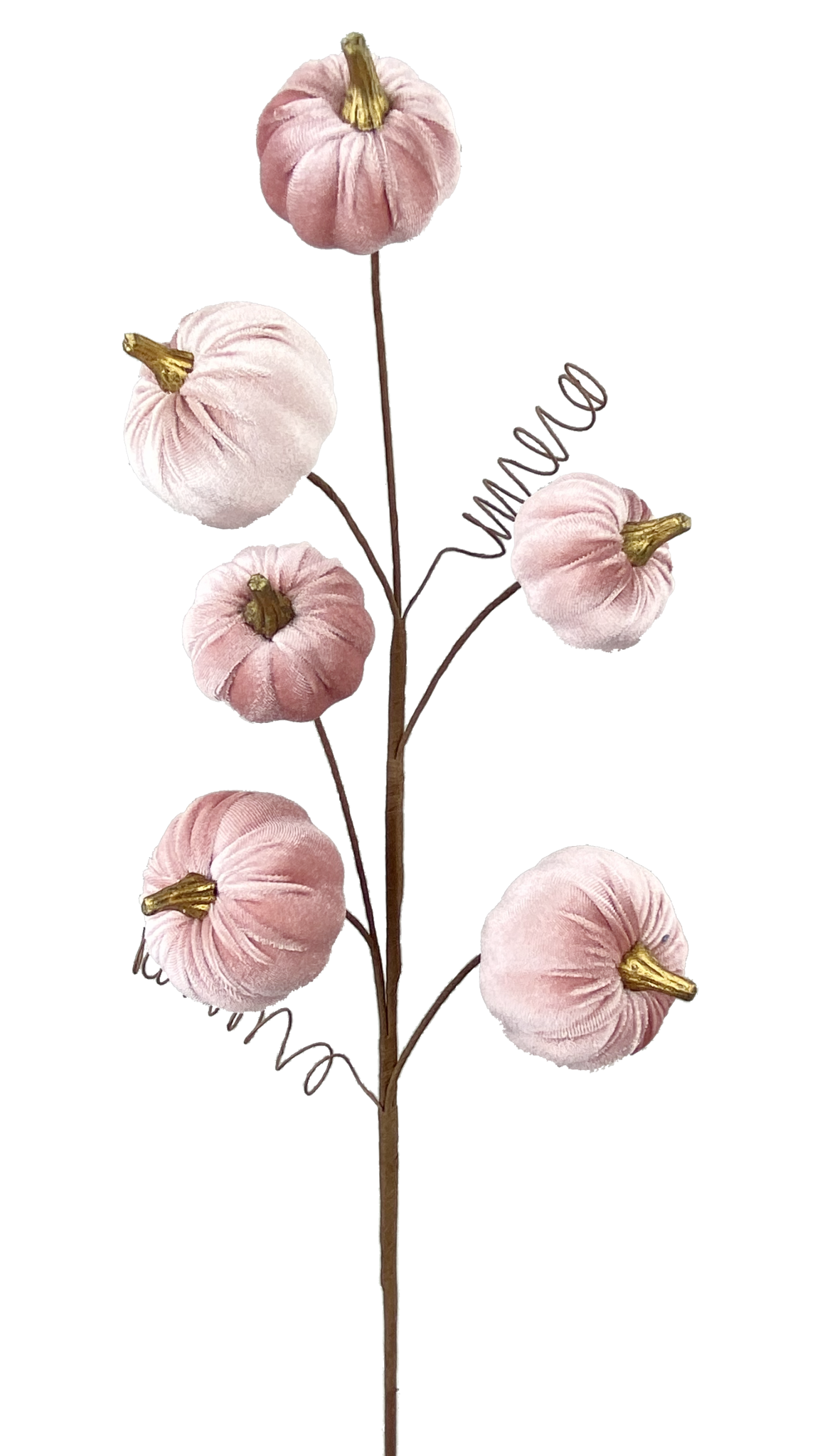 28-inch decorative spray featuring six soft pink velvet pumpkins with gold stems on brown branches.