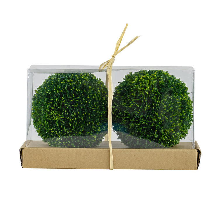 Pair of lush green boxwood decorative spheres with a natural round silhouette.