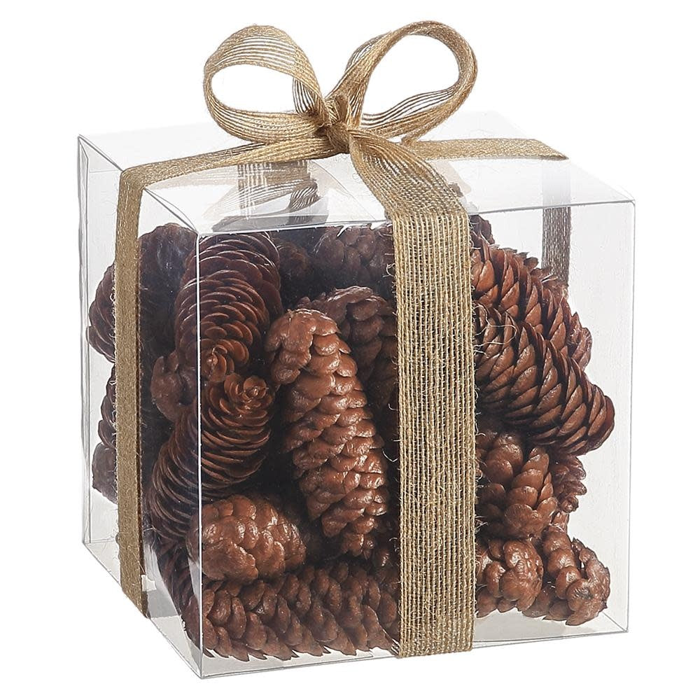 Brown plastic pine cone assortment in a clear acetate box with rustic bow