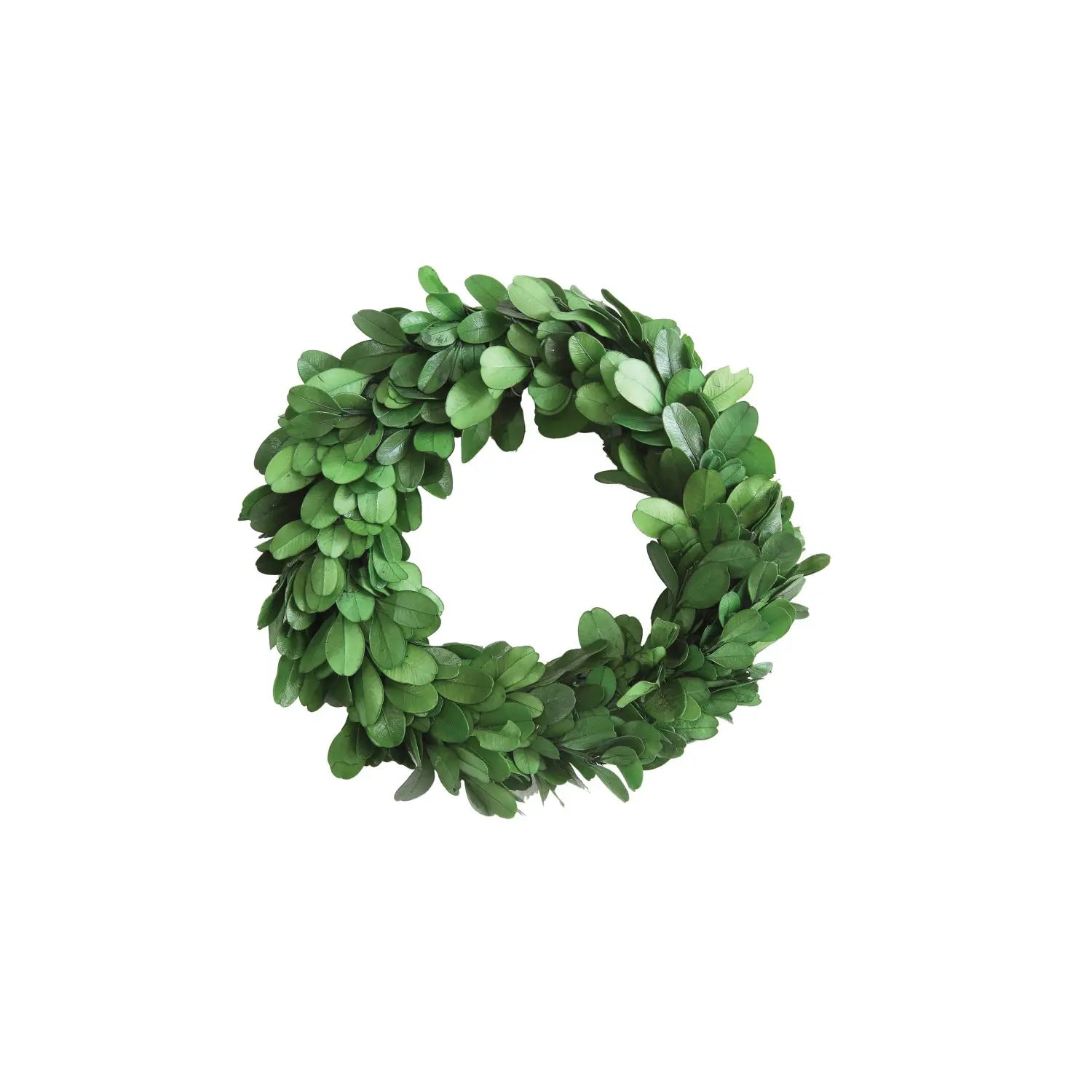 6-inch round preserved boxwood wreath in deep green with a flat silhouette.