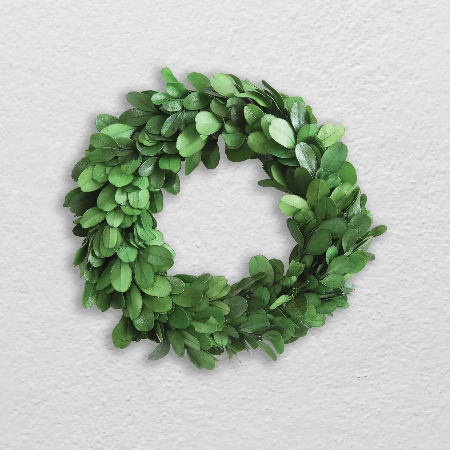 6-inch round preserved boxwood wreath in rich deep green with a soft texture.