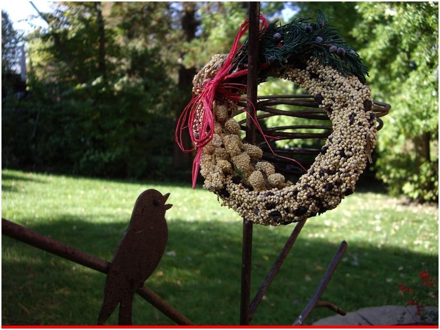 6-inch rustic grapevine wreath with bird seed, juniper berries, a cardinal figurine, and red raffia bow.