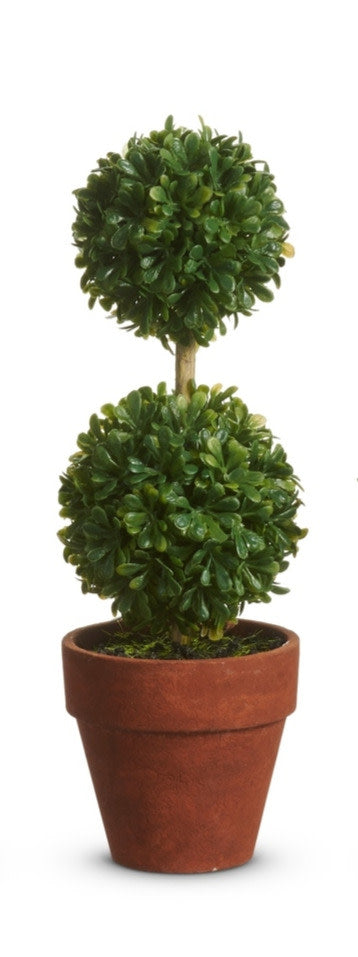 8.5 inch double ball mini boxwood topiary in a terracotta-colored pot.