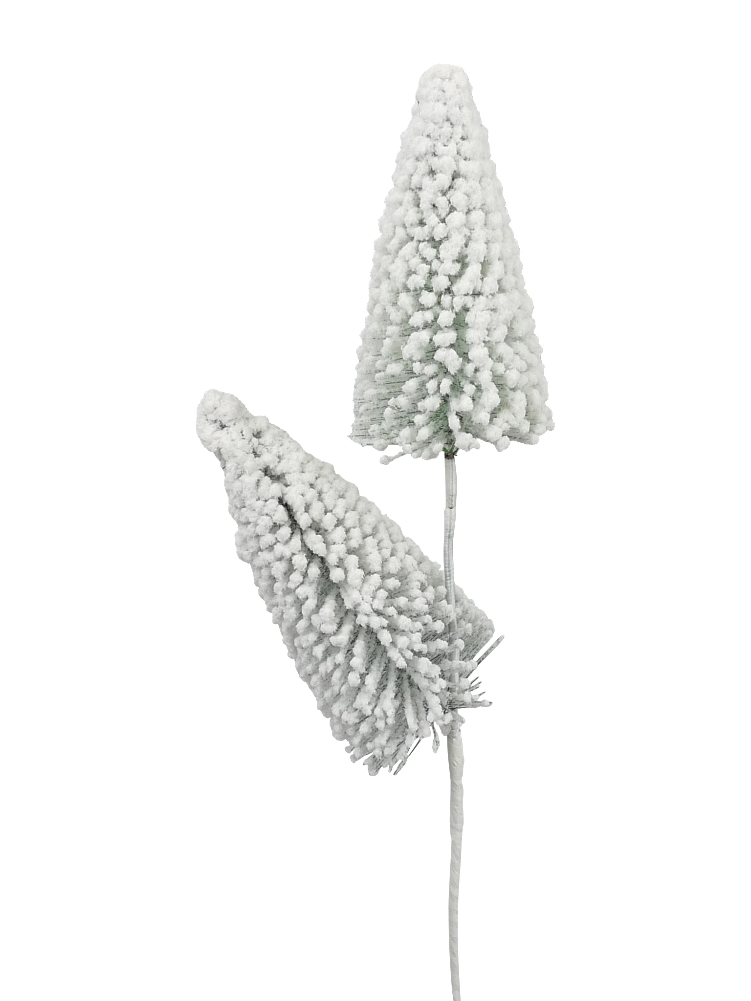 Bottle Brush Tree Spray with green foliage accents on a white background