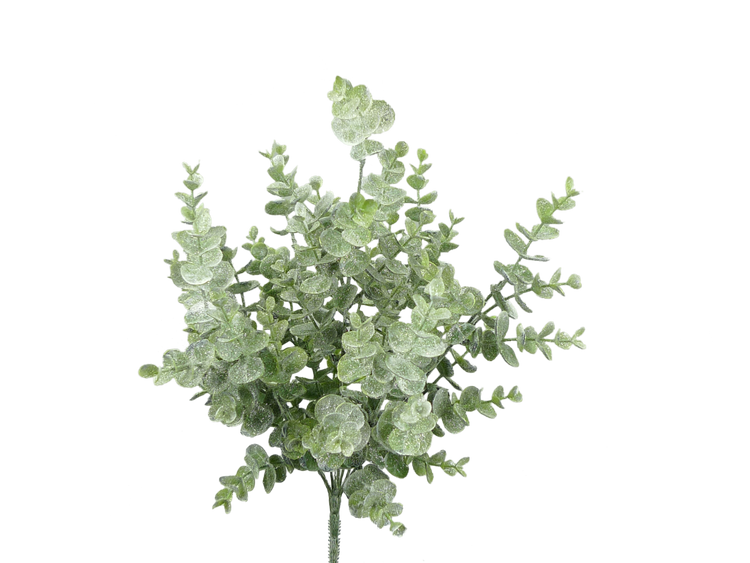 White eucalyptus bush with natural foliage arranged in a full silhouette.