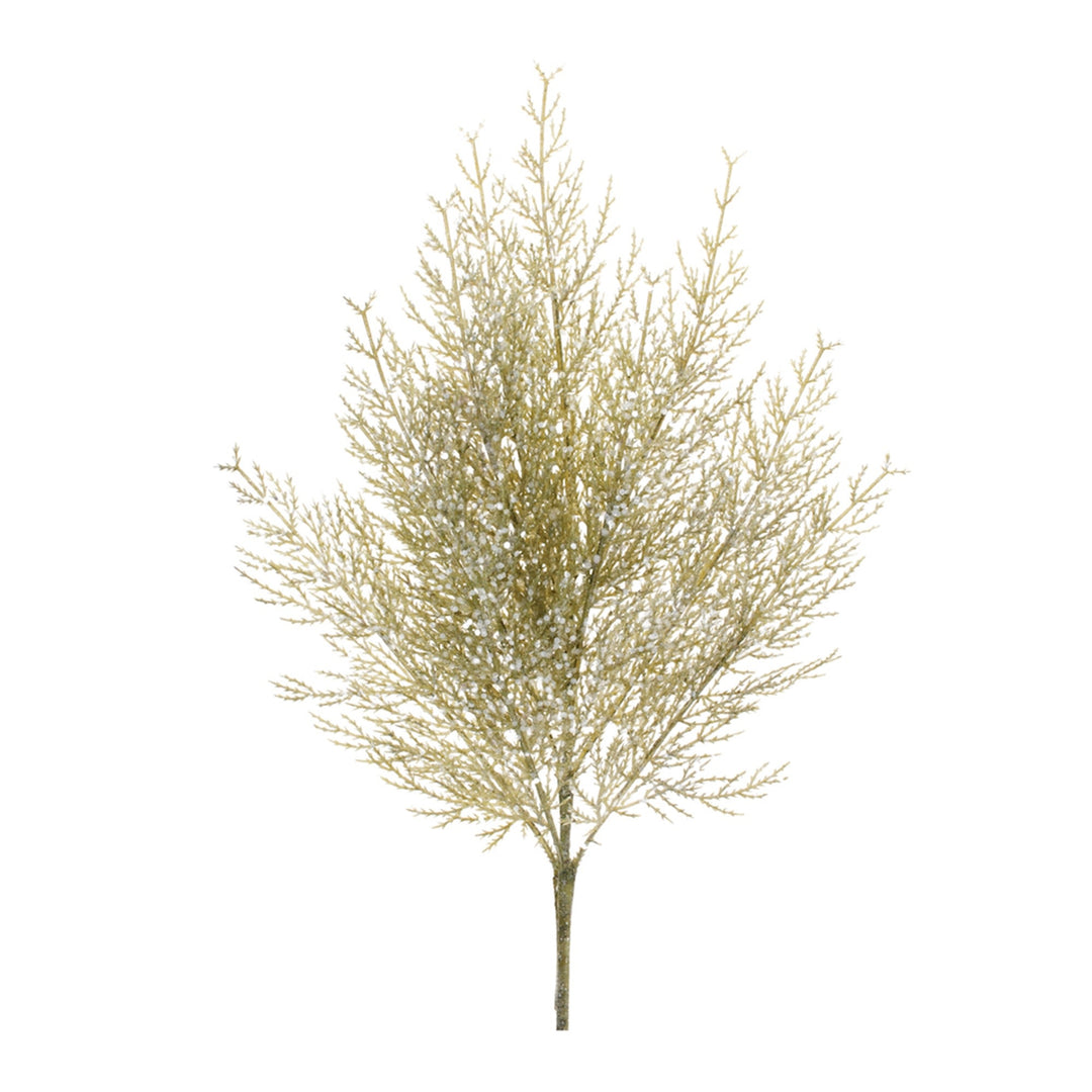 Plastic Cedar Spray