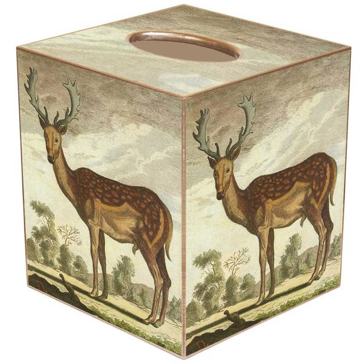Tissue Box Cover Paper Mache