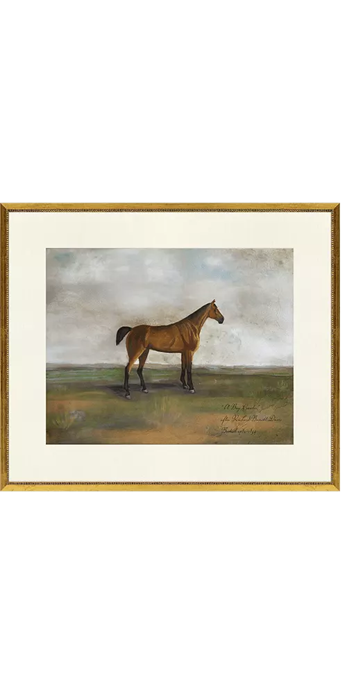 Equestrian I