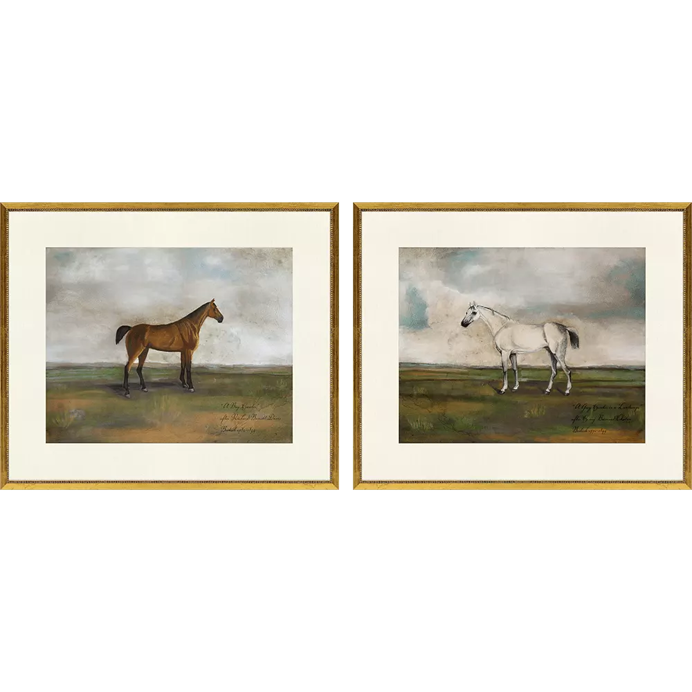 Equestrian I