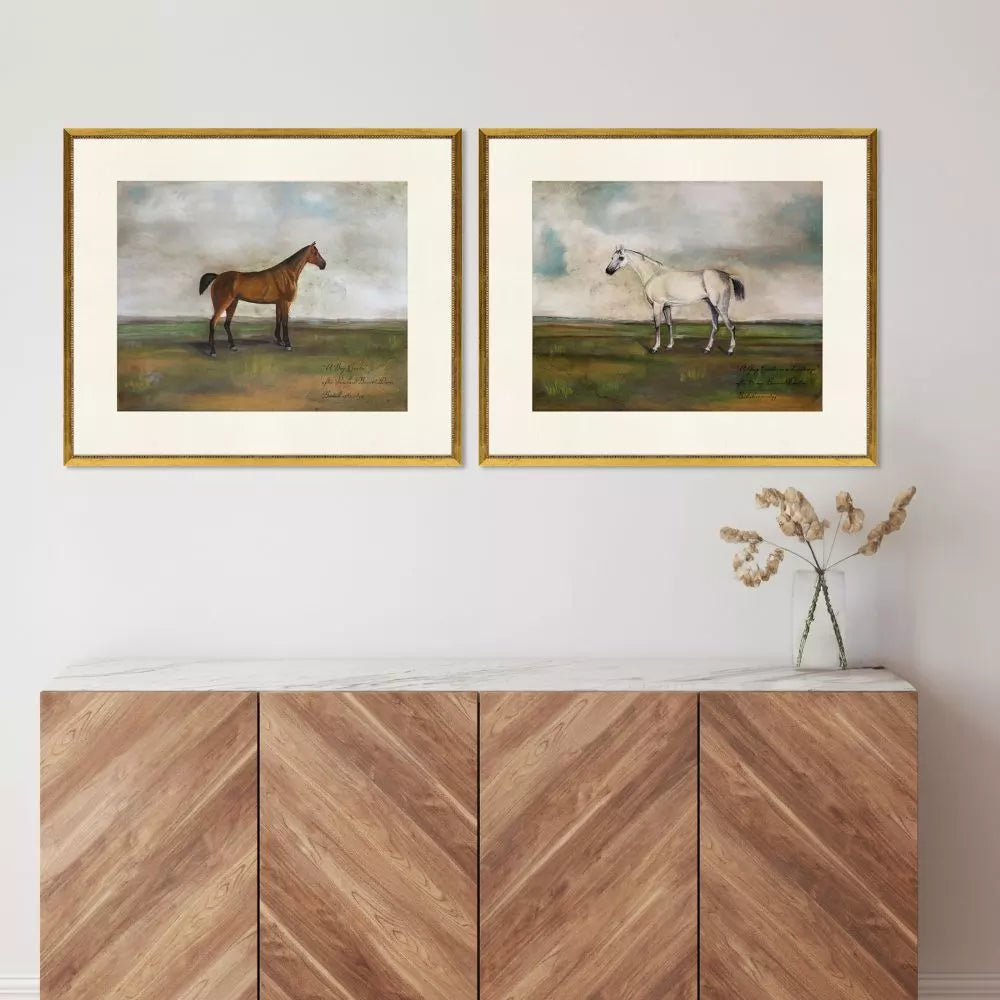 Equestrian I