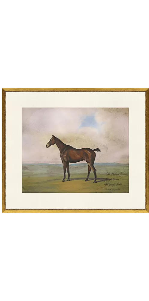 Equestrian II SOLD INDIVIDUALLY