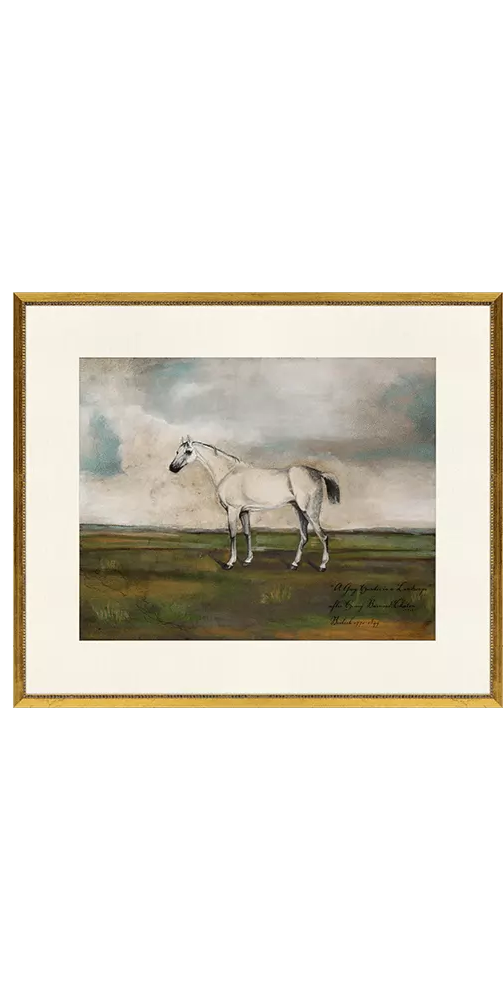 Equestrian I