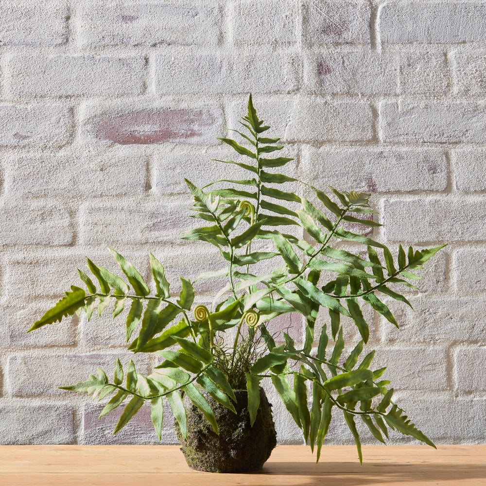 Eighteen-inch fern moss drop-in planter made of plastic foam with lush green texture.