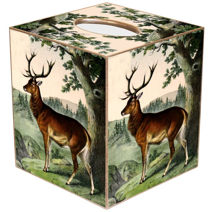 Tissue Box Cover Paper Mache