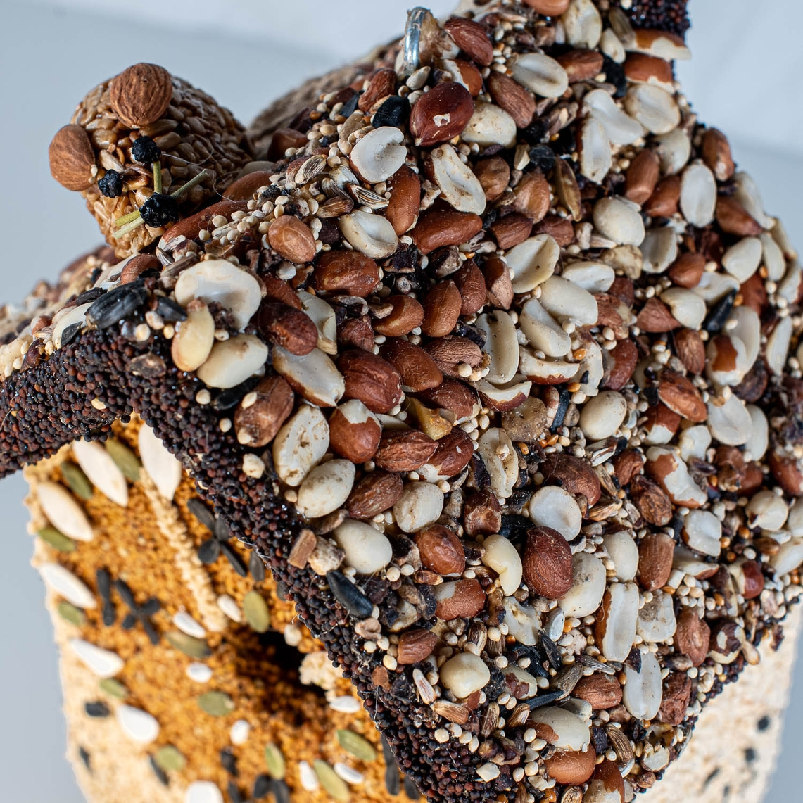 Close-up of a birdhouse roof covered in peanuts, sunflower seeds, and small birdseed grains.