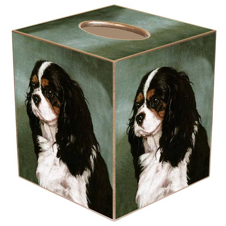 Tissue Box Cover Paper Mache