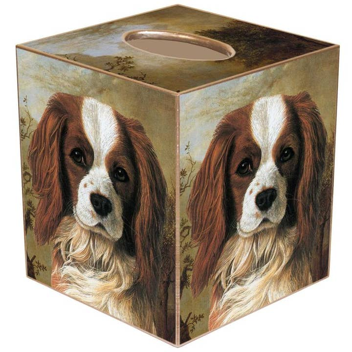 Tissue Box Cover Paper Mache
